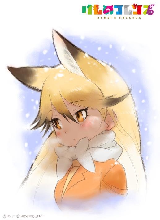 A Mine Yoshizaki portrait of Ezo Red Fox in a snowy environment, posted to his Twitter.