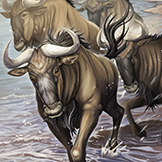 KF3 Blue Wildebeest (Photo)Thumb.png