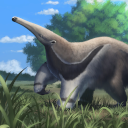 KF3 Giant Anteater (Photo)Thumb.png