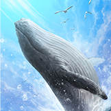 KF3 Blue Whale (Photo)Thumb.png