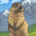 KF3 Alpine Marmot (Photo)Thumb.png