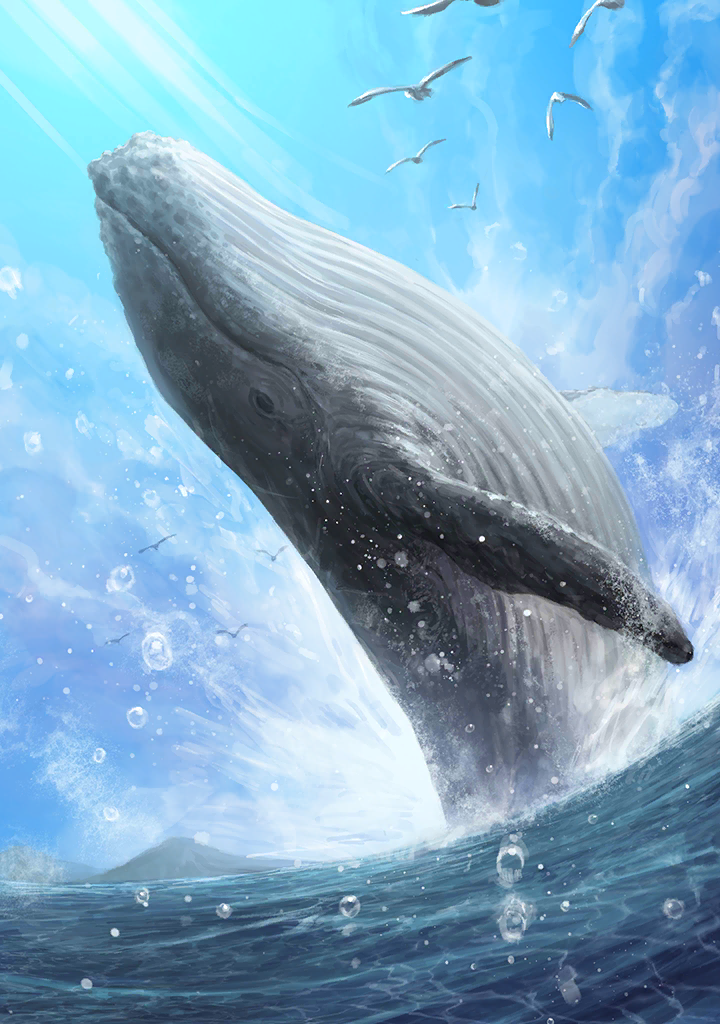 Blue Whale (Photo) - Japari Library, the Kemono Friends Wiki