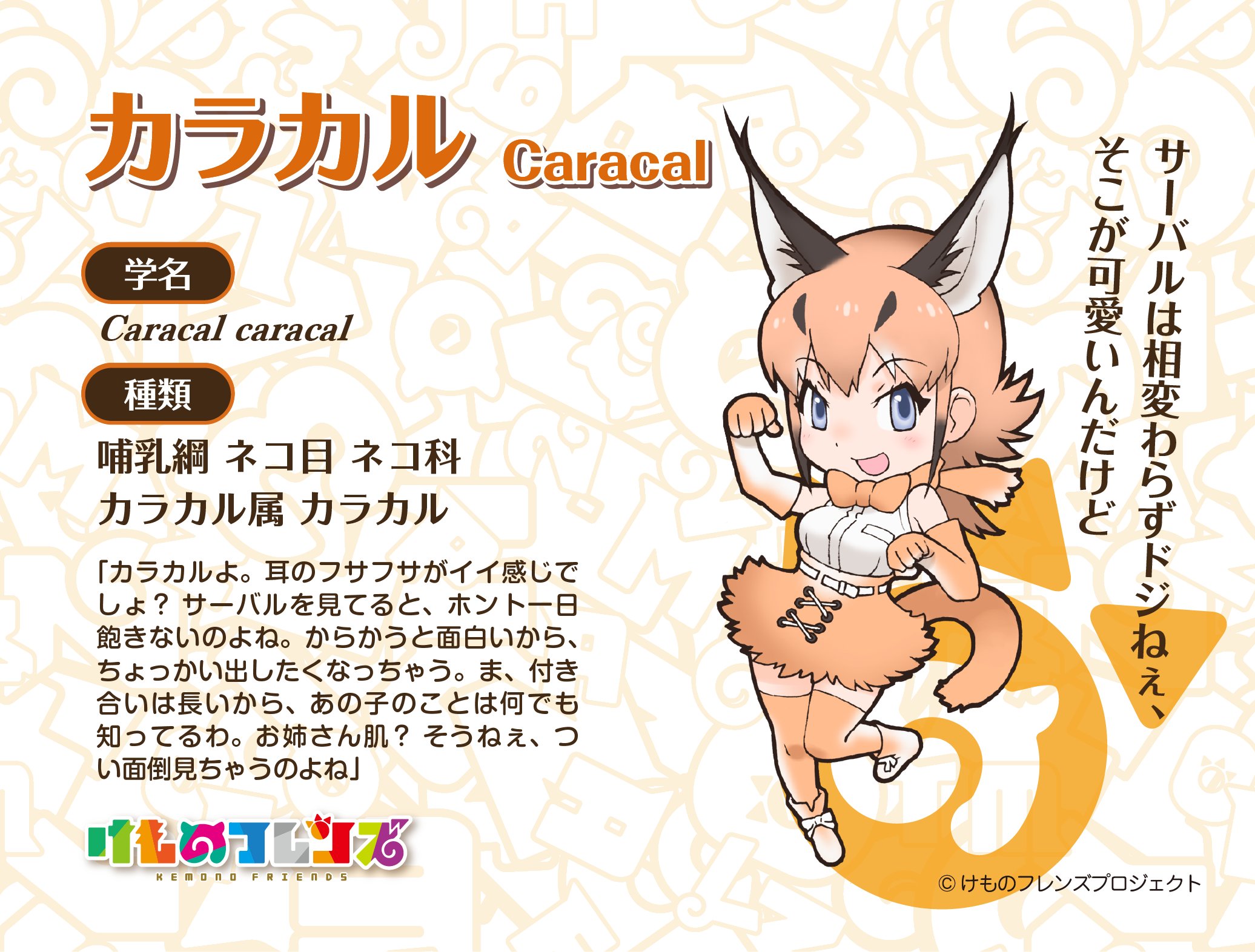 Caracal profile posted by Kemono Friends Project Twitter account.