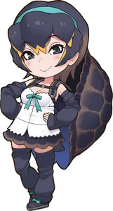 Western Santa Cruz TortoiseOriginal.png