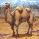 KF3 Wild Bactrian Camel (Photo)Thumb.png