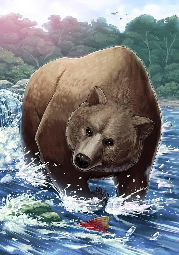 Brown Bear (Photo) - Japari Library, the Kemono Friends Wiki