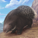 KF3 Crested Porcupine (Photo)Thumb.png