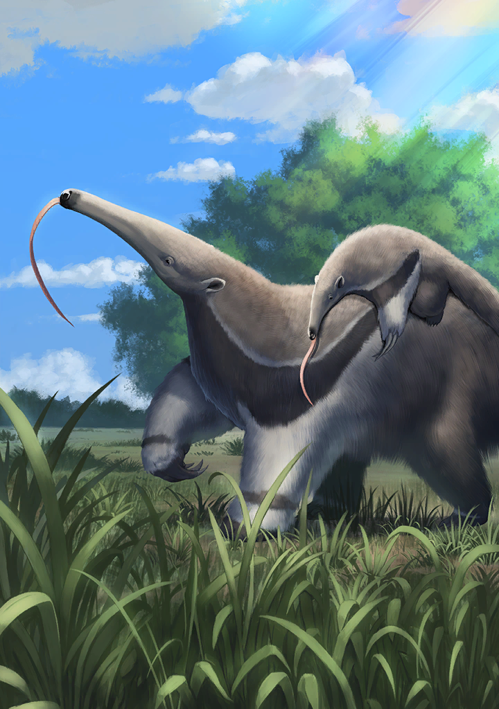 KF3 Giant Anteater (Photo)+.png