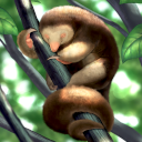 KF3 Silky Anteater (Photo)Thumb.png