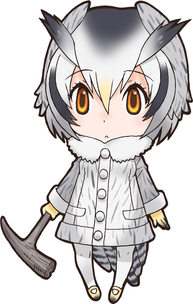 Northern White-Faced OwlOriginal.png